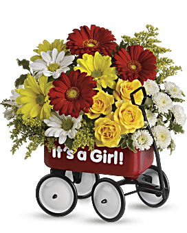 Baby's Wow Wagon by Teleflora - Girl